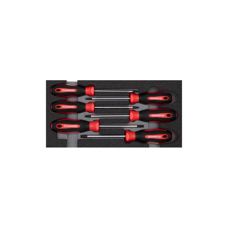 GEDORE Schraubendrehersatz TX 2/6 Check-Tool-Modul 6-teilig R22150015