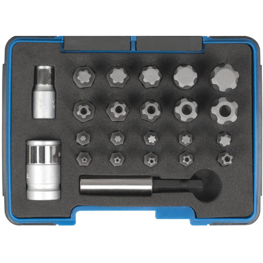 SW-Stahl Bitsortiment, 1/4"+3/8", 23-teilig