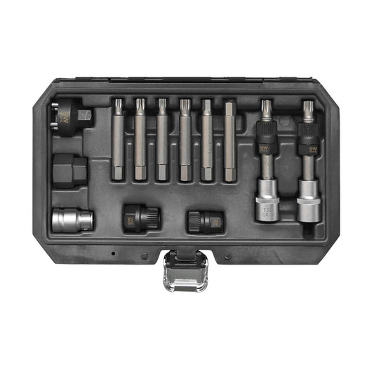 SW-Stahl Bitsatz für Freilaufriemenscheibe, 1/2", 13-teilig