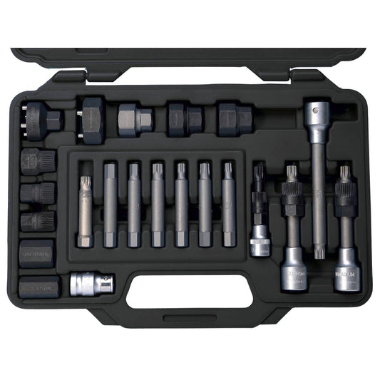 SW-Stahl Bitsatz für Freilaufriemenscheibe, 1/2", 22-teilig