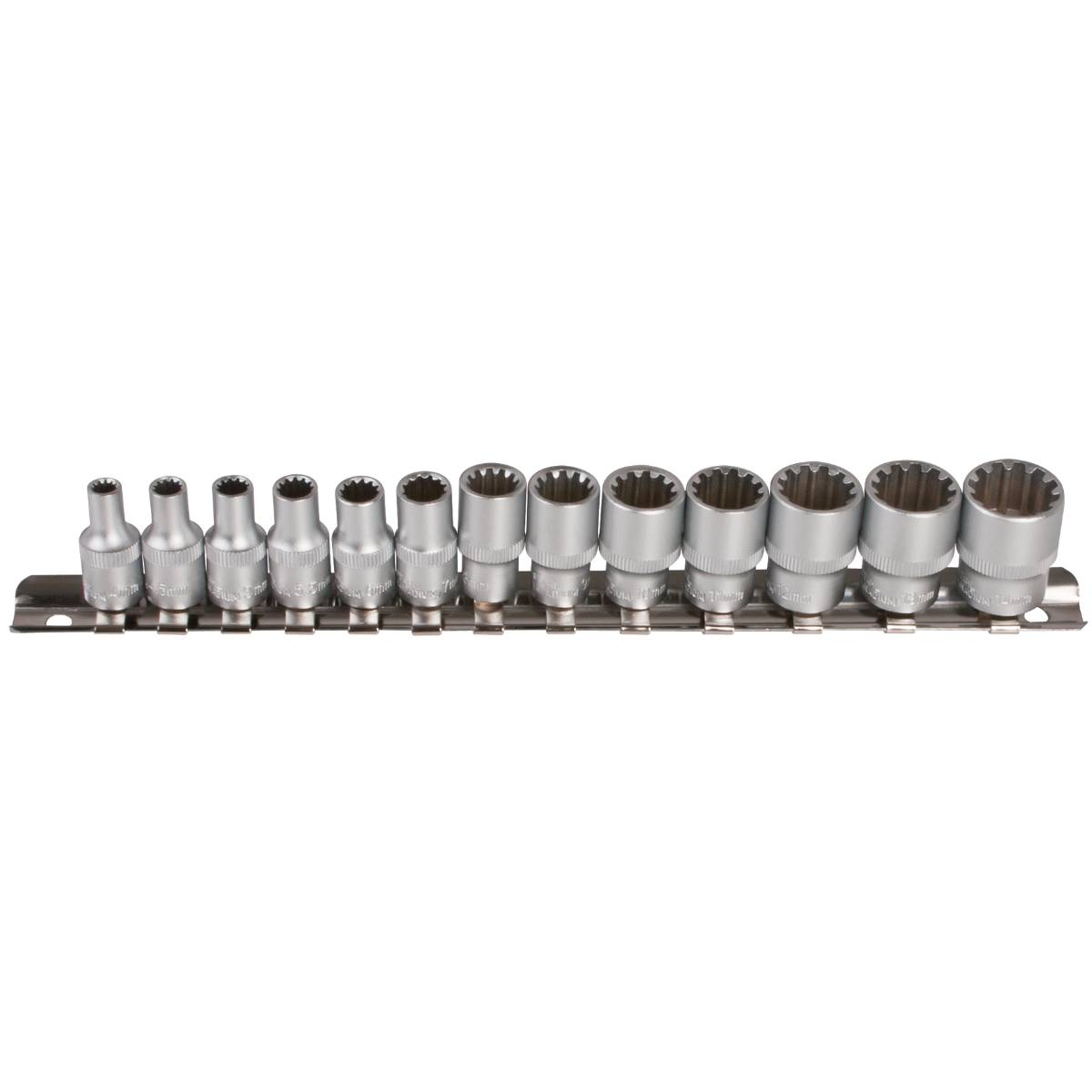 SW-Stahl Steckschlüsseleinsätze, 1/4", Multi-Profil, 4-14 mm, 13-teilig