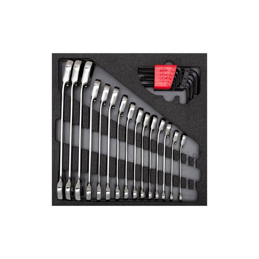 GEDORE Schraubenschlüsselsatz 4/6 Check-Tool-Modul 24-teilig R22250001