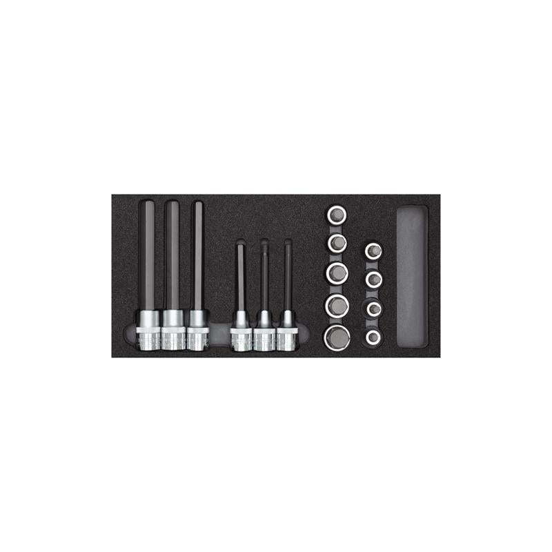 GEDORE Schraubendrehereinsätze 1/2" 2/6 Check-Tool-Modul 15-teilig R22150011