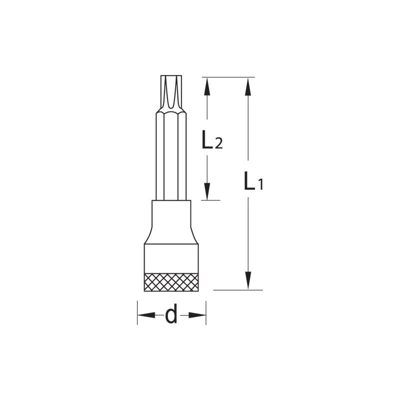 GEDORE Schraubendrehereinsatz 12 mm lang Torx T45 ITX 19 L T45-100