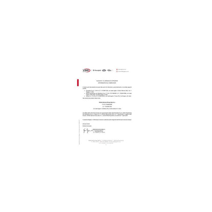 Ravaglioli Achsfreiheber J17X